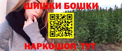 гашик Лесосибирск