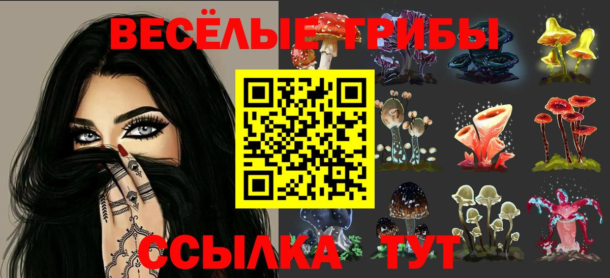 Дивногорск  Галлюциногенные грибы Magic Shrooms  Вход с VPN 