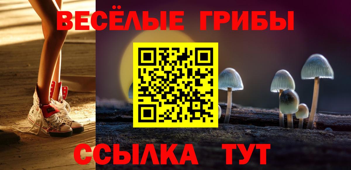 Галлюциногенные грибы Cubensis Дивногорск